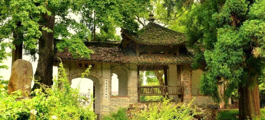解惑天涯 | 张卫健和老婆没有孩子,为什么他们还可以如此幸福?问答平台